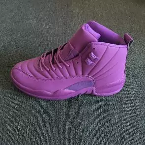 air jordan 12 colorways psny purple